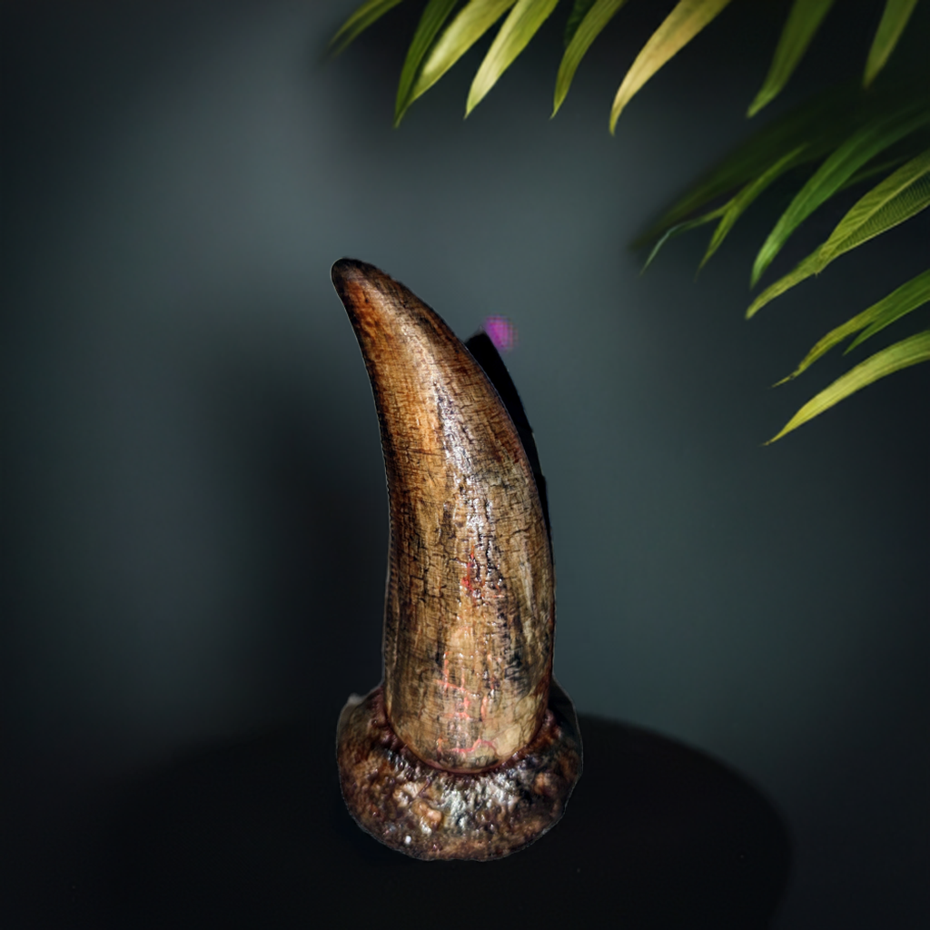 T-Rex Zahn lifesize
