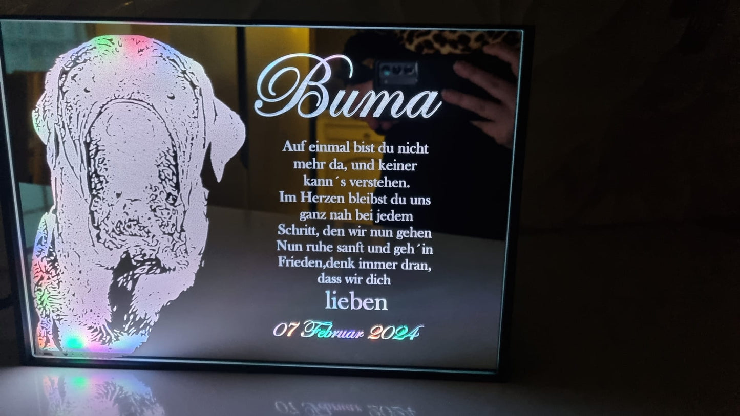 Spiegel Box (Beispiel)