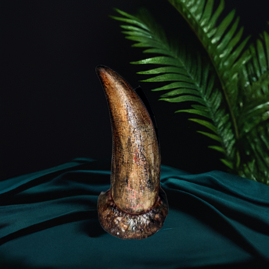 T-Rex Zahn lifesize
