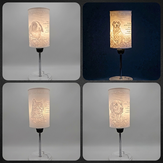 Einzigartige Lampe
